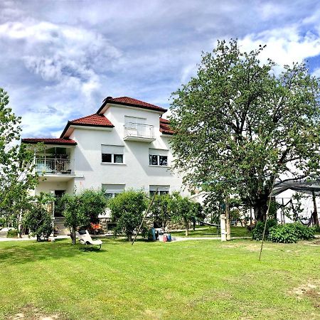 Apartments Andrej - Optuj Dış mekan fotoğraf